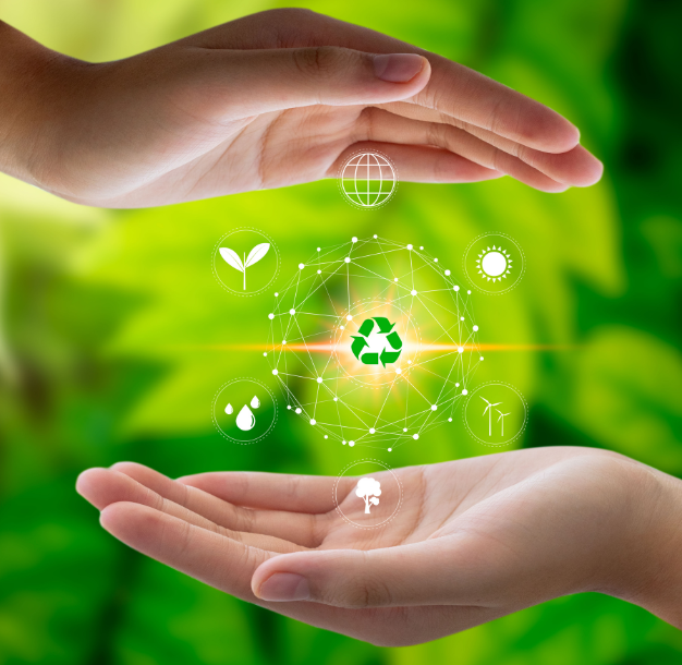 Environment & Plantation